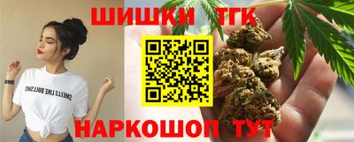 гидропоника Новозыбков