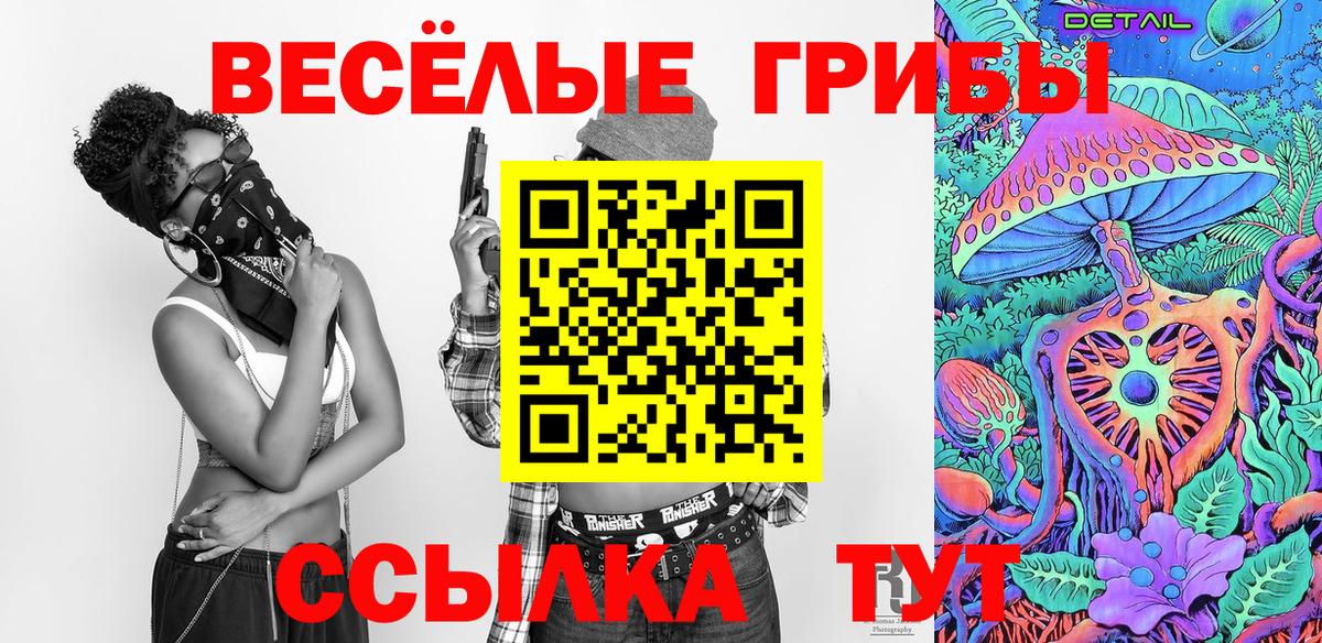 Галлюциногенные грибы Psilocybine cubensis  Вход с VPN  Галлюциногенные грибы прущие грибы  Геленджик 